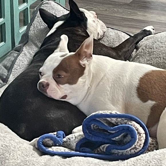 Meet your Posh Ambassador Karen - Picture 2 of 5